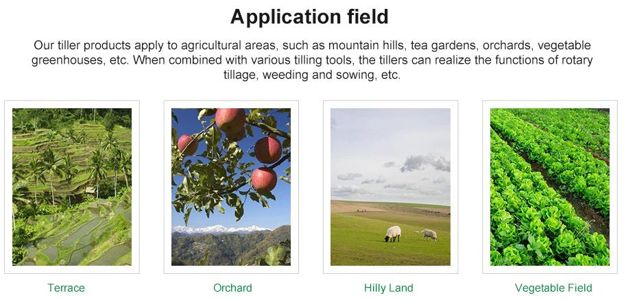 Application field